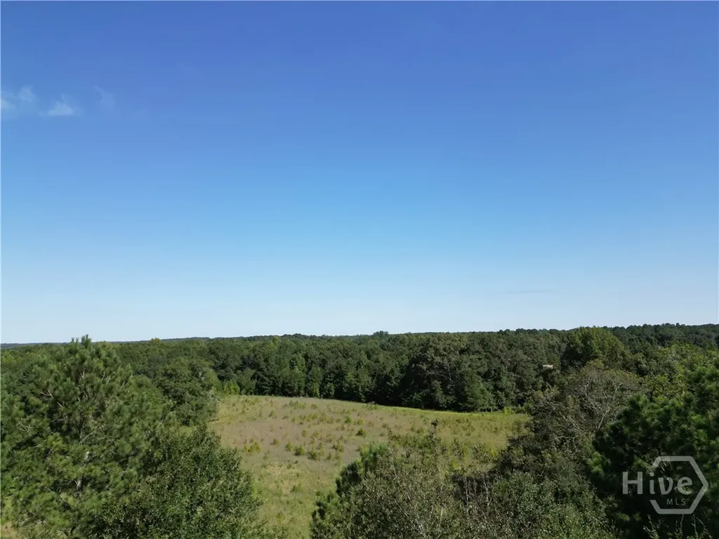 1170 Ash Road Bishop GA 30621