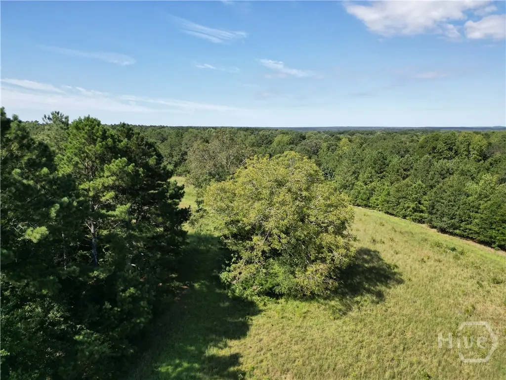 1170 Ash Road Bishop GA 30621