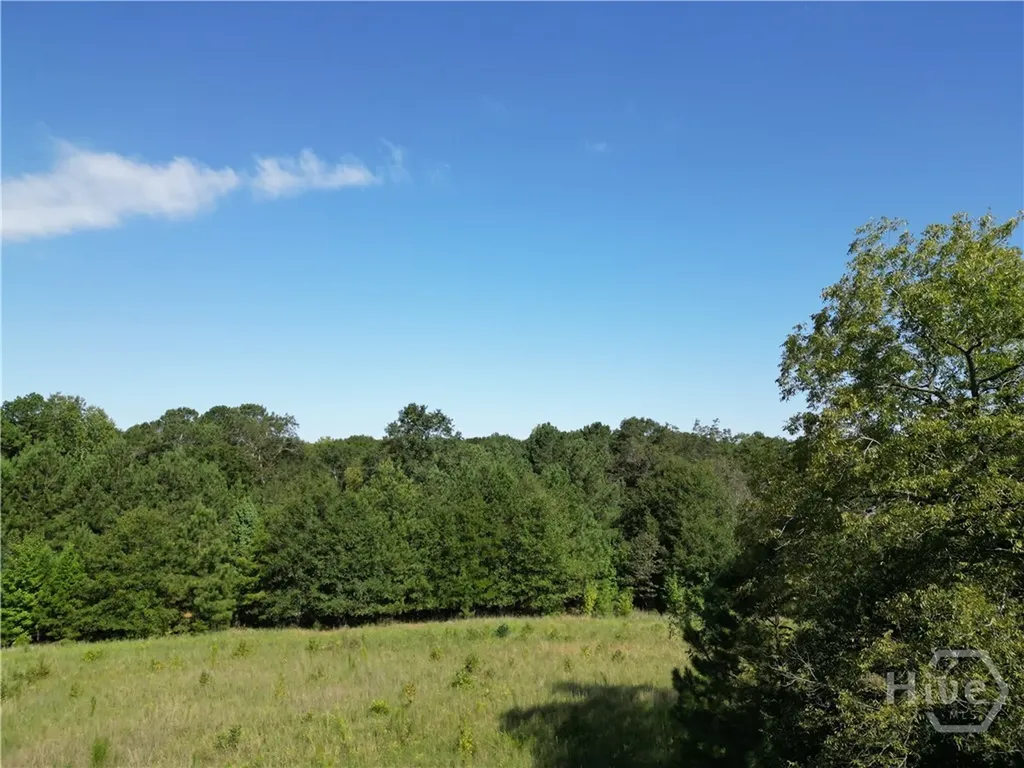 1170 Ash Road Bishop GA 30621