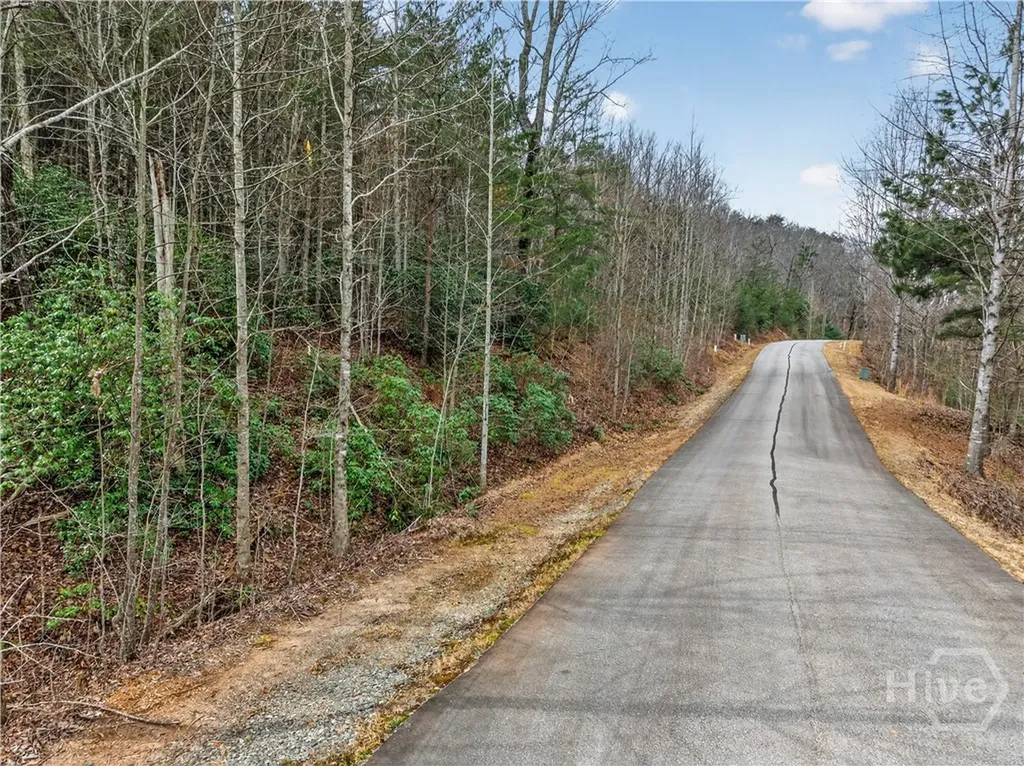252 S Laceola Road Cleveland GA 30528