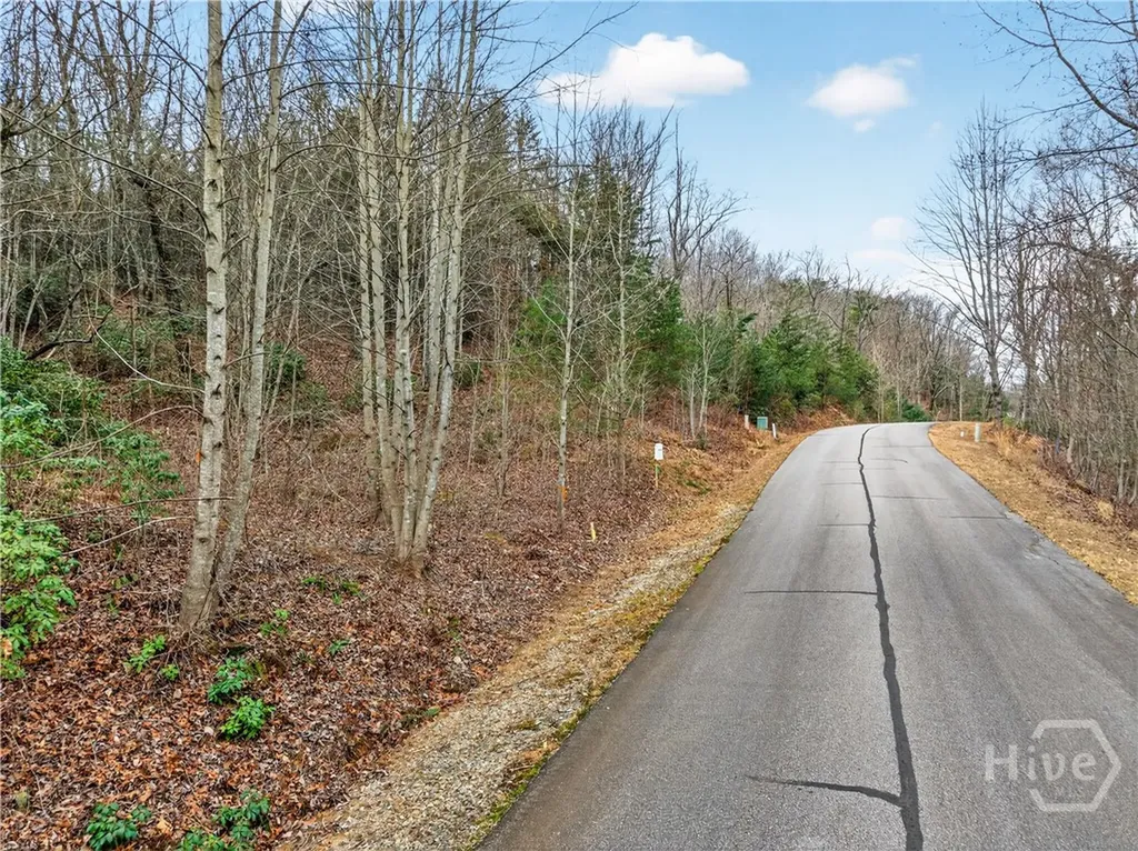 252 S Laceola Road Cleveland GA 30528