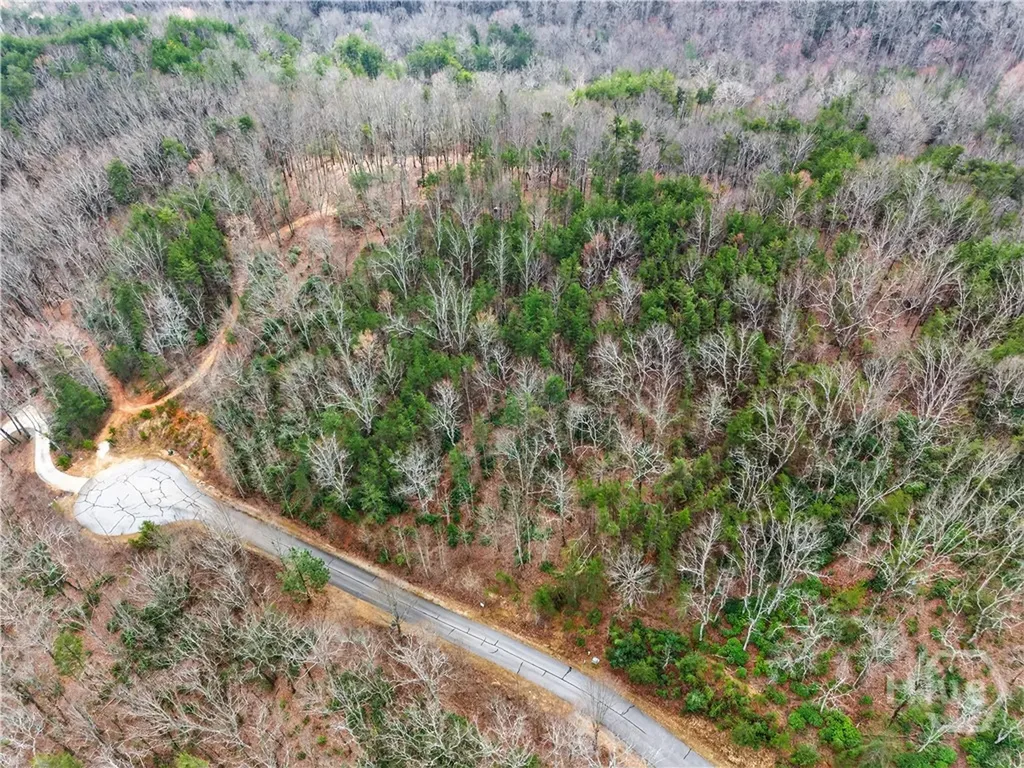 252 S Laceola Road Cleveland GA 30528