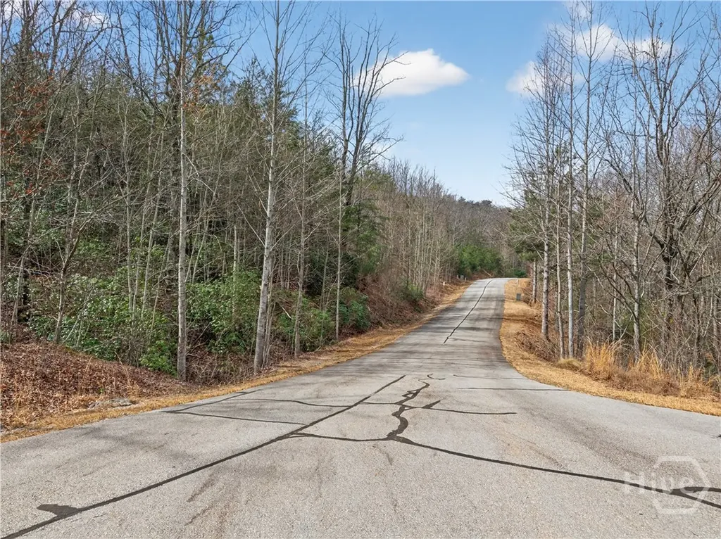 252 S Laceola Road Cleveland GA 30528
