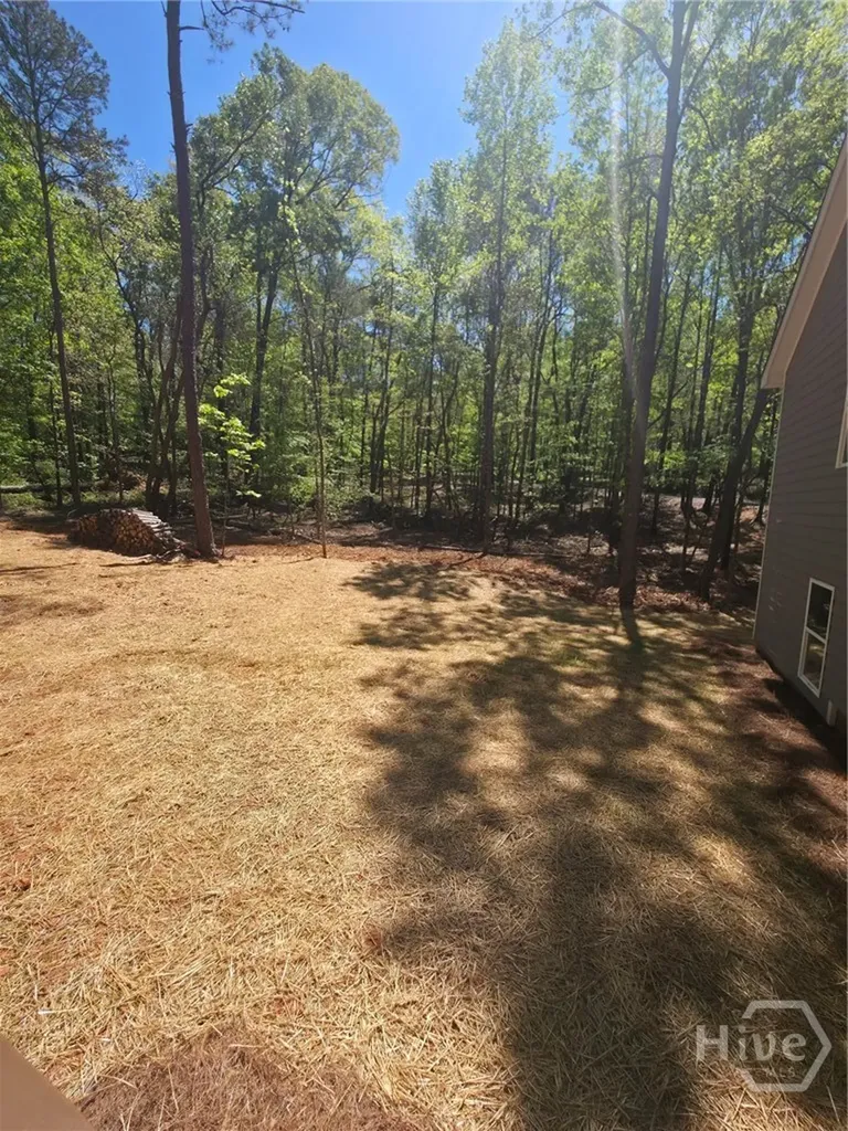 255 Hanover Drive Bogart GA 30622