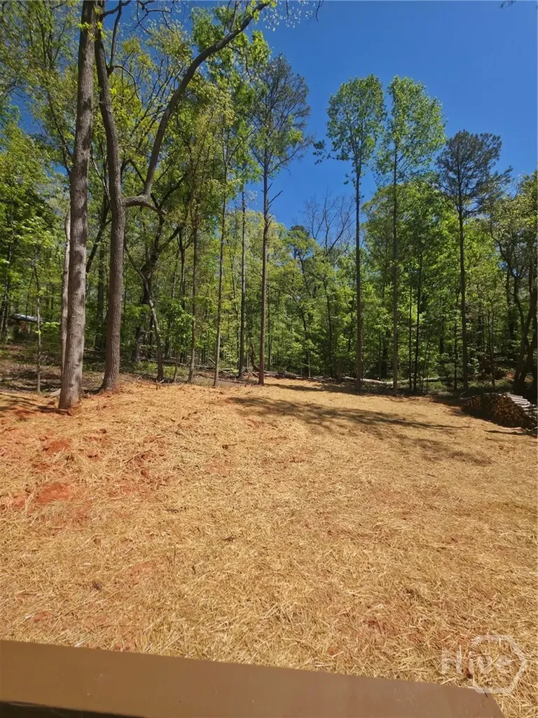 255 Hanover Drive Bogart GA 30622