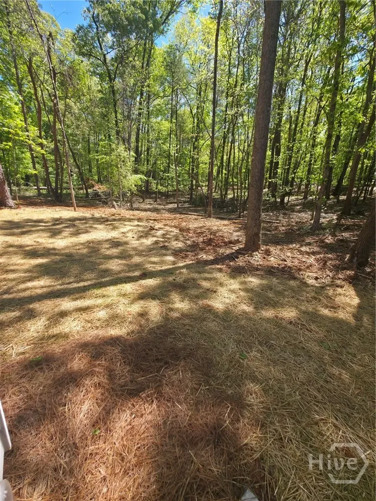 255 Hanover Drive Bogart GA 30622