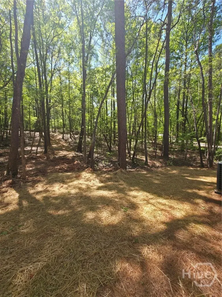 255 Hanover Drive Bogart GA 30622