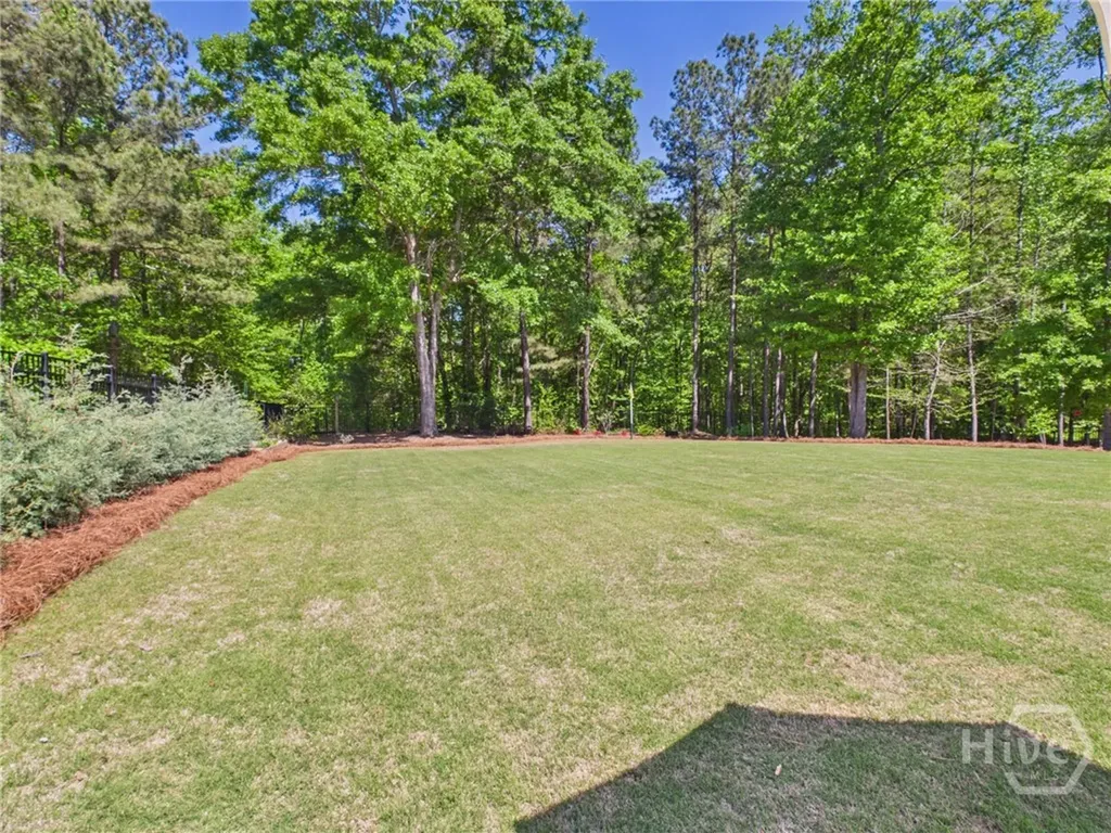 4080 Brookhaven Drive Watkinsville GA 30677