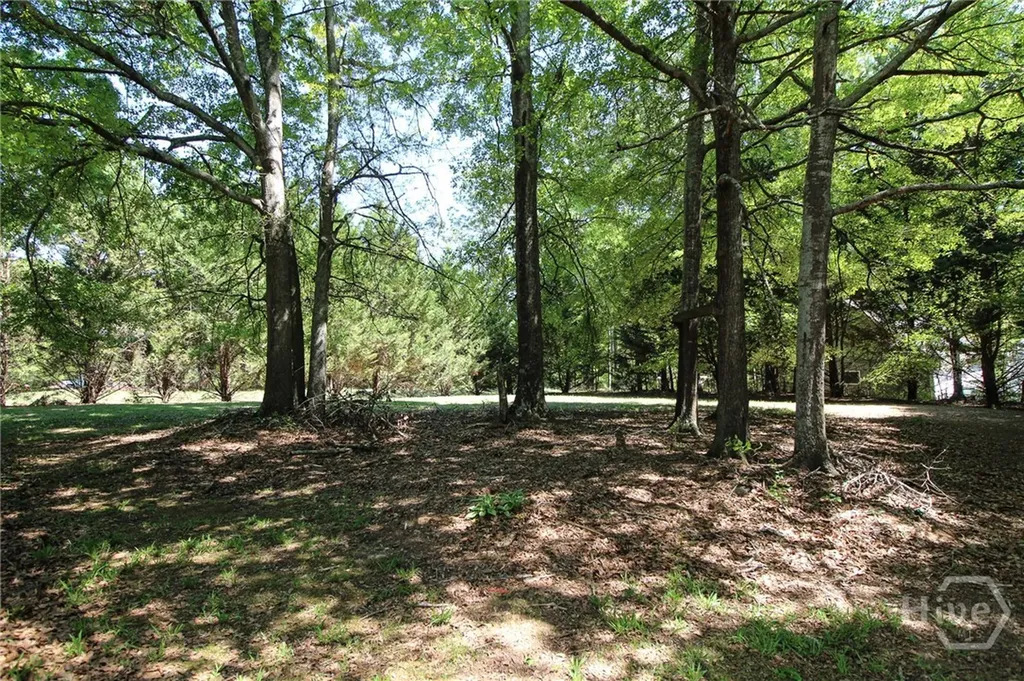 171 Crystal Creek Drive Colbert GA 30628
