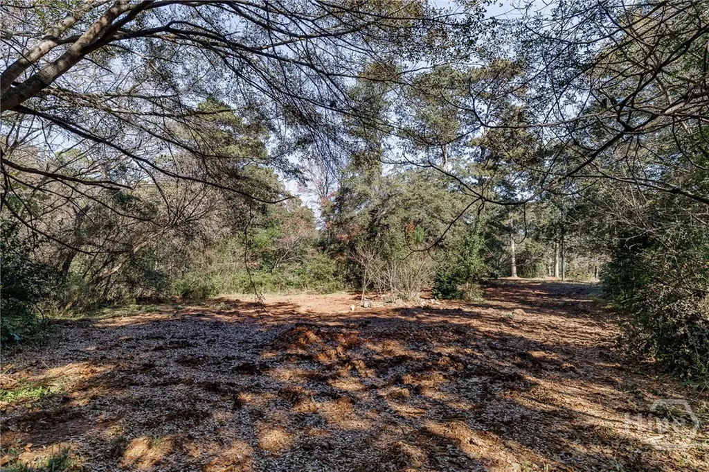 51 Thrasher Drive Watkinsville GA 30677