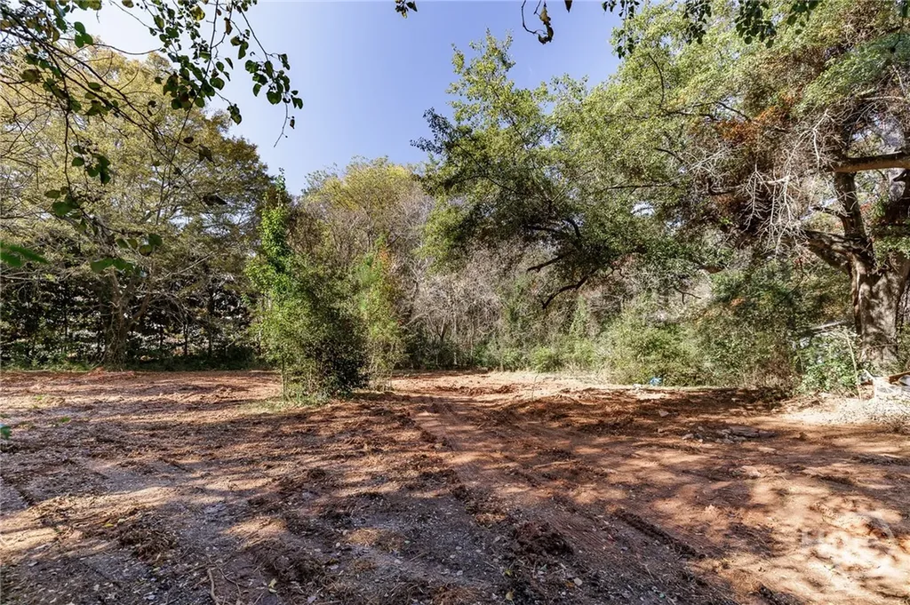51 Thrasher Drive Watkinsville GA 30677