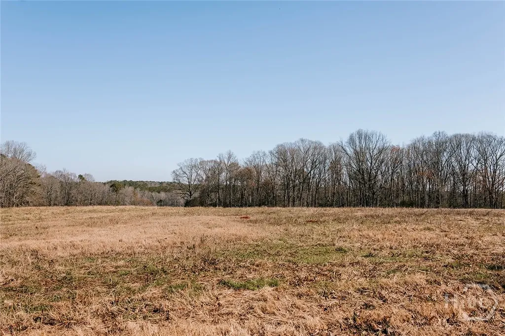 0 Lovers Lane Stephens GA 30667