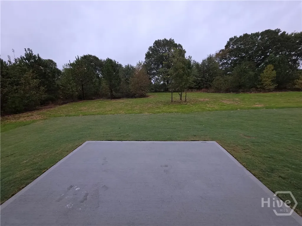 305 Dove Field Drive Winder GA 30680