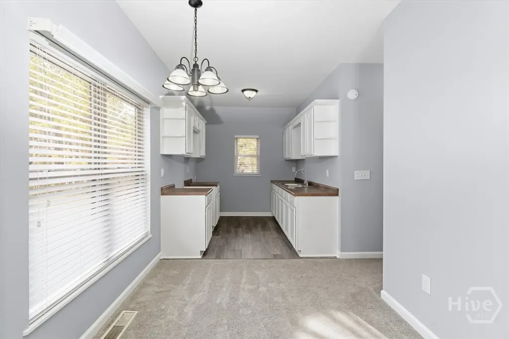 1051 Spartan Lane Athens GA 30606