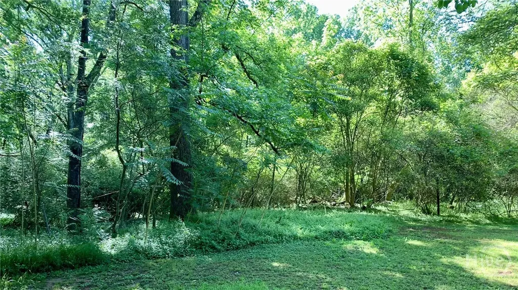 0 S Tanglewood Drive Royston GA 30662