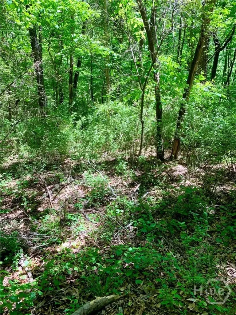 0 S Tanglewood Drive Royston GA 30662
