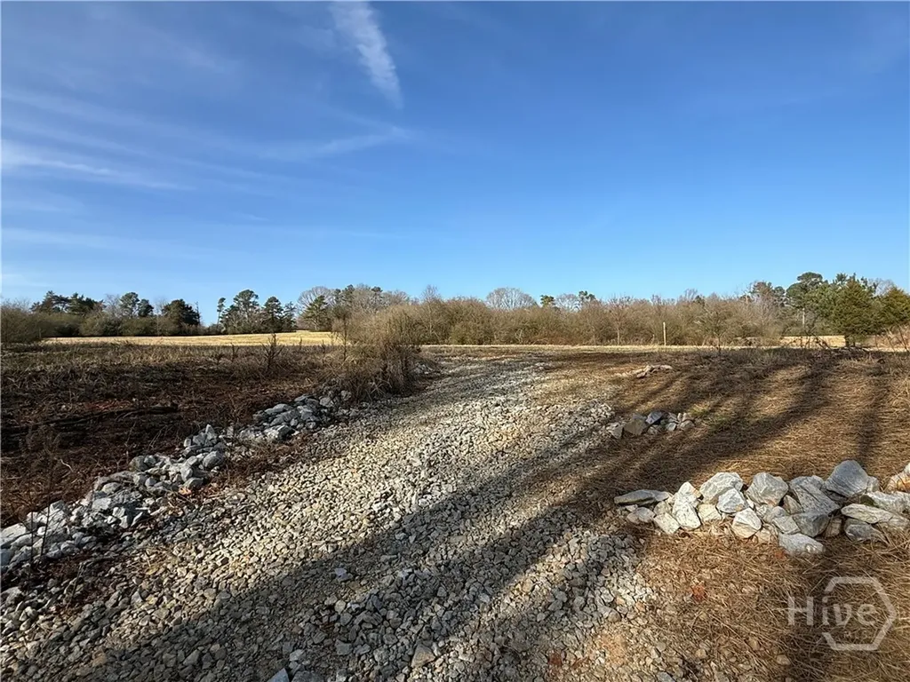 Homer GA 30547