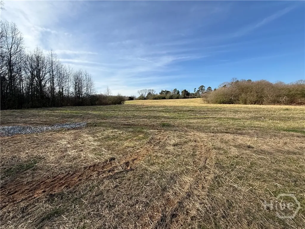 Homer GA 30547