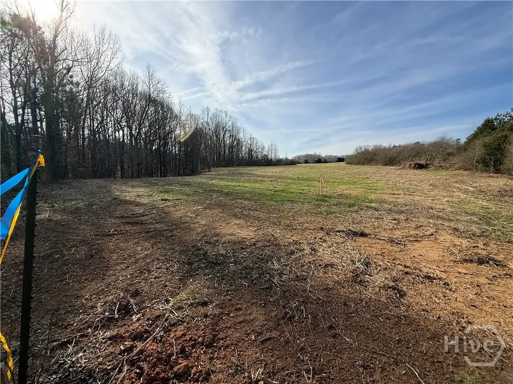 Homer GA 30547