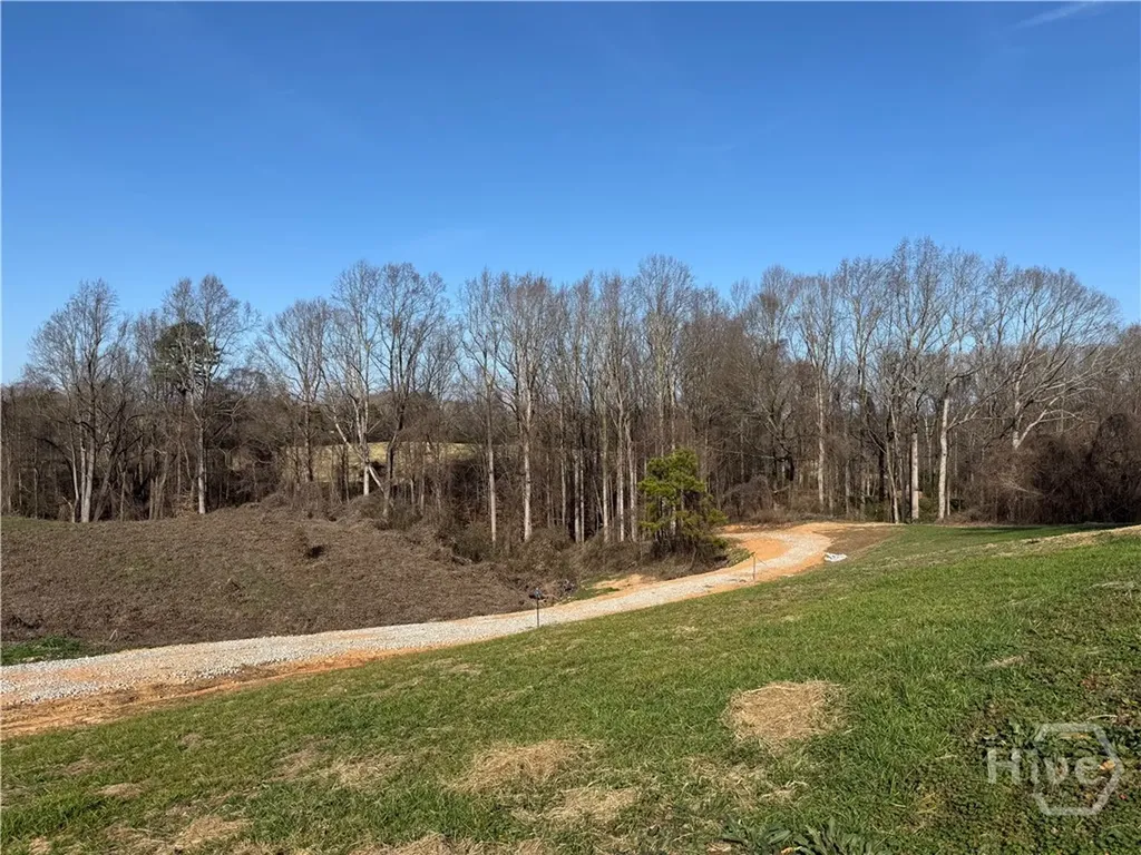 Homer GA 30547