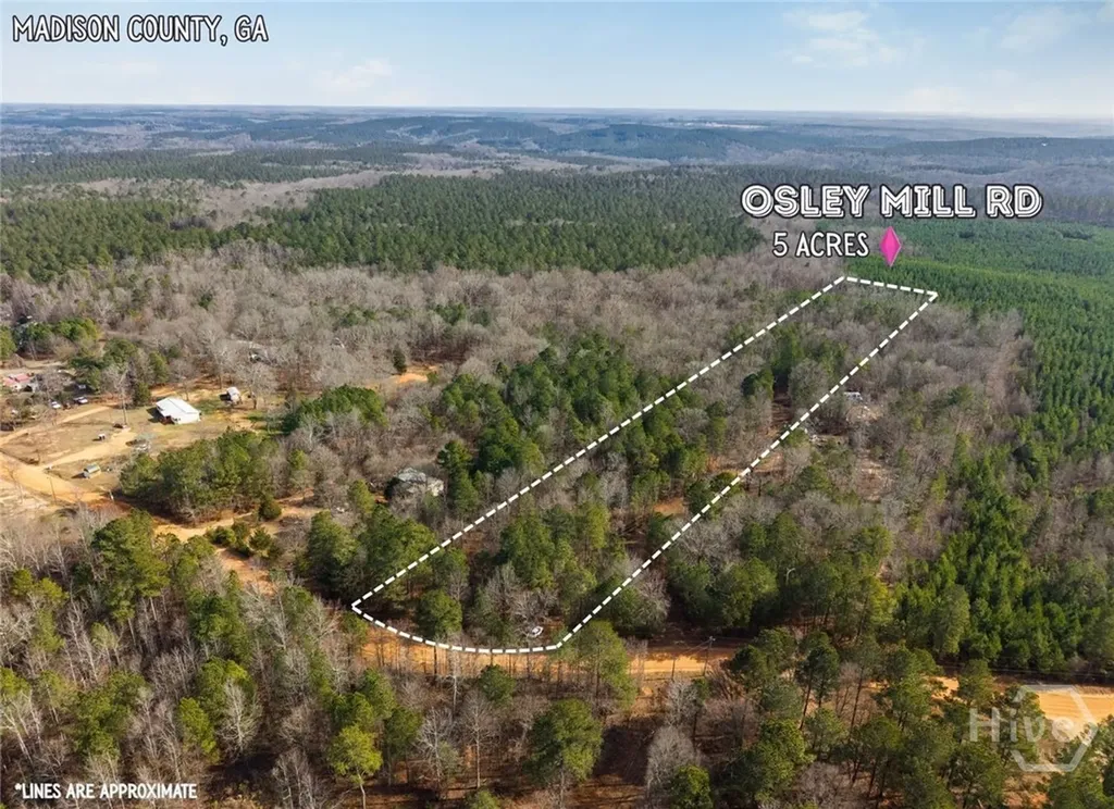 2224 Osley Mill Road Comer GA 30629