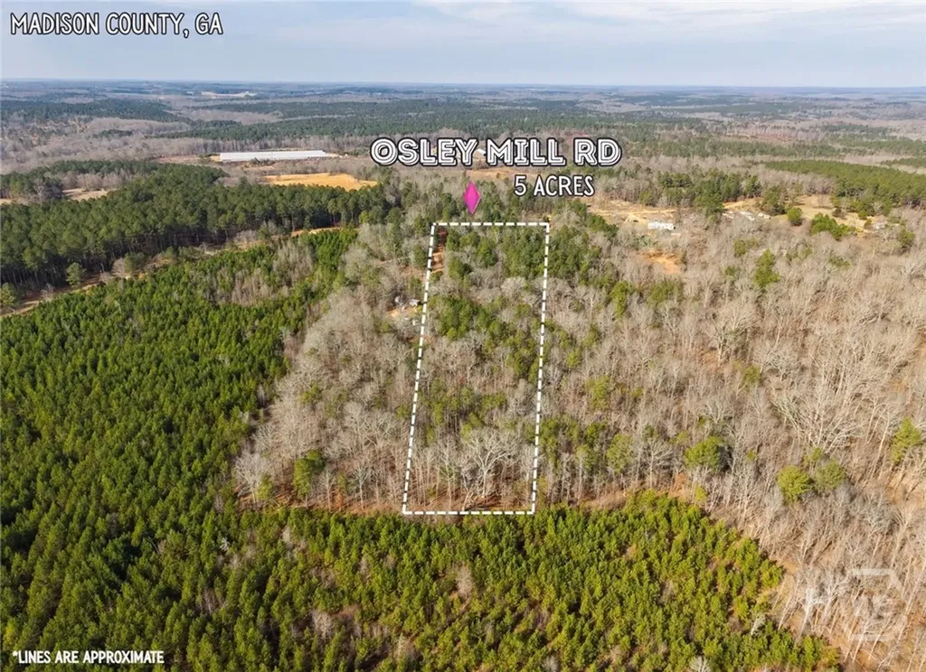 2224 Osley Mill Road Comer GA 30629