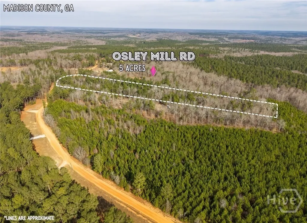 2224 Osley Mill Road Comer GA 30629