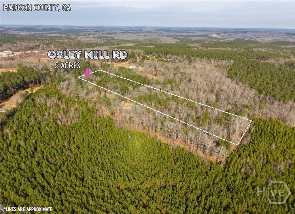 2224 Osley Mill Road Comer GA 30629