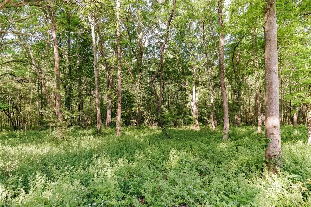 271 Oxmoor Close Winterville GA 30683