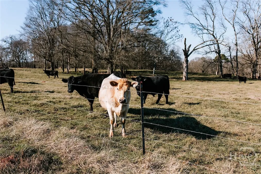 0 Crawfordville Road Stephens GA 30667