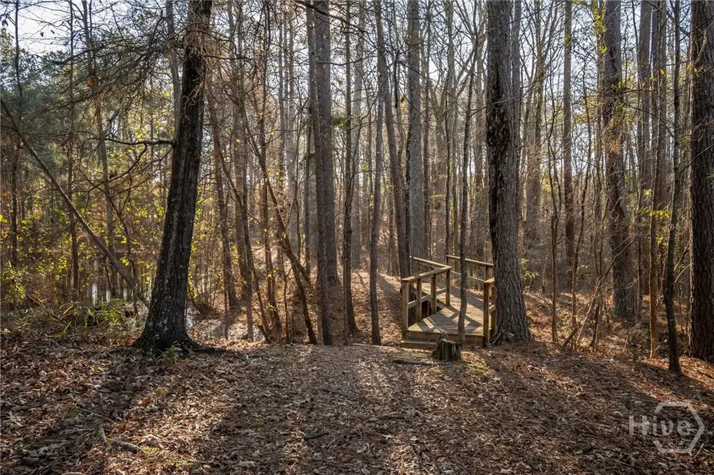 2893 Whitlow Ridge Drive Bishop GA 30621