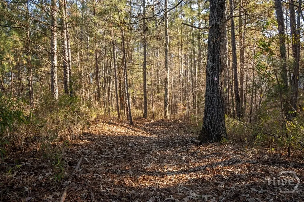 2893 Whitlow Ridge Drive Bishop GA 30621