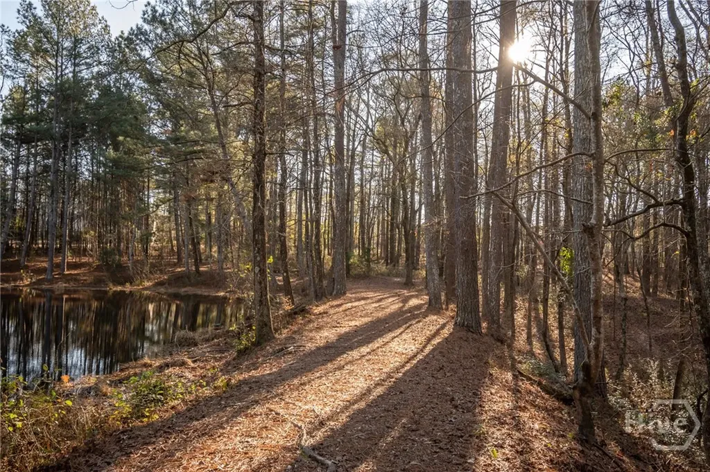 2893 Whitlow Ridge Drive Bishop GA 30621