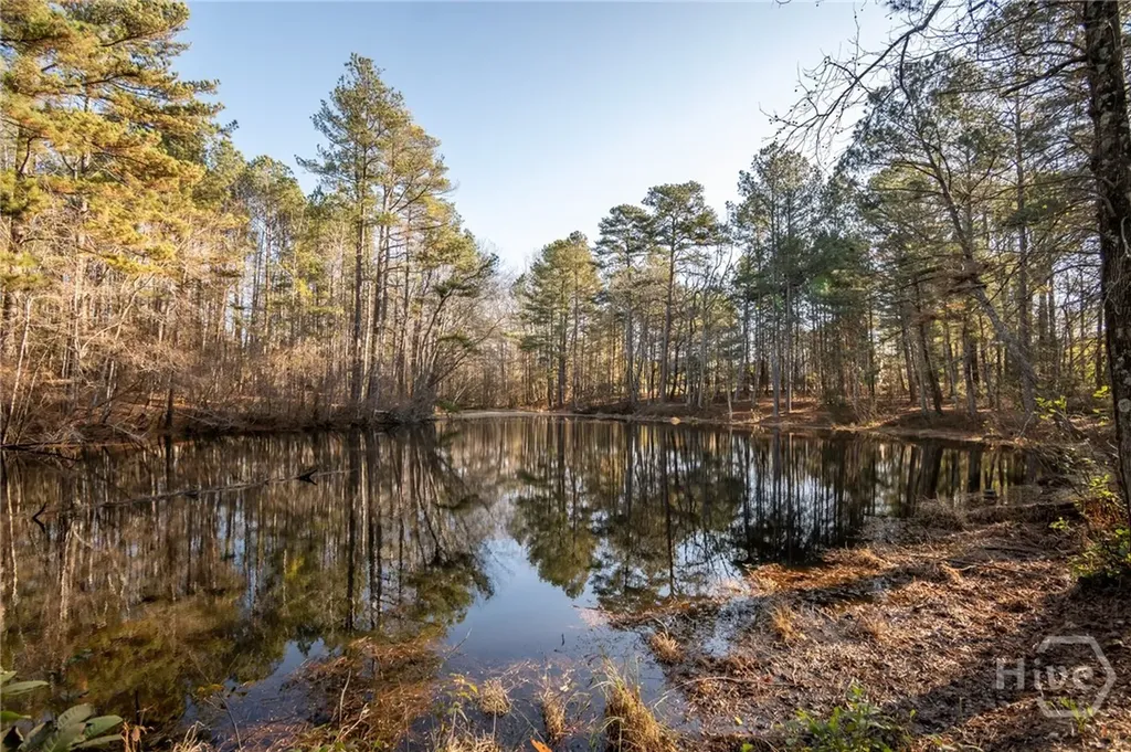 2893 Whitlow Ridge Drive Bishop GA 30621