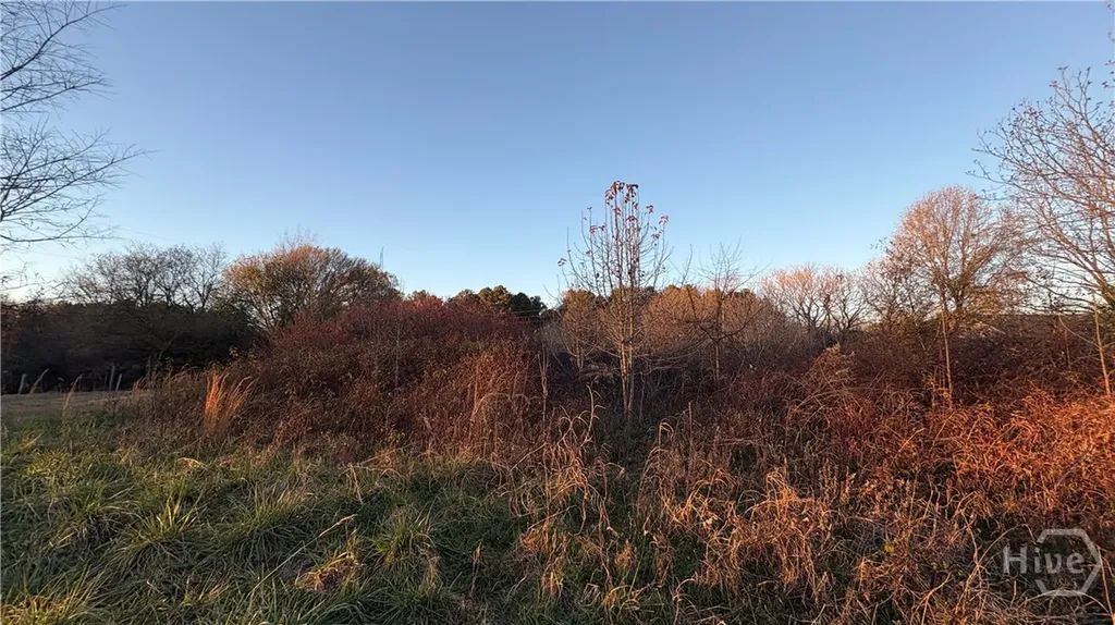 Danielsville GA 30633