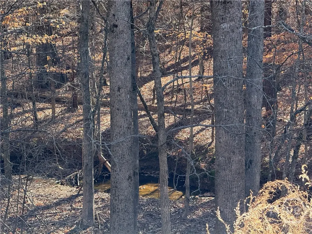 212 Huntington Shoals Drive Athens GA 30606