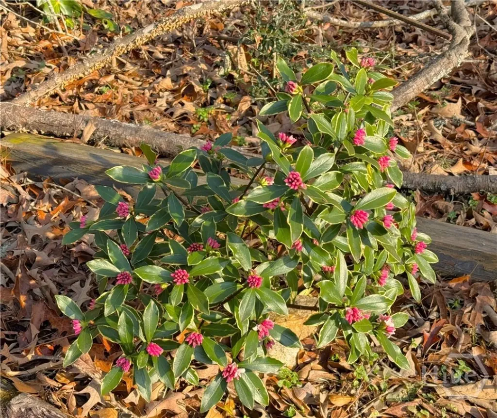 134 Bent Tree Drive Athens GA 30606