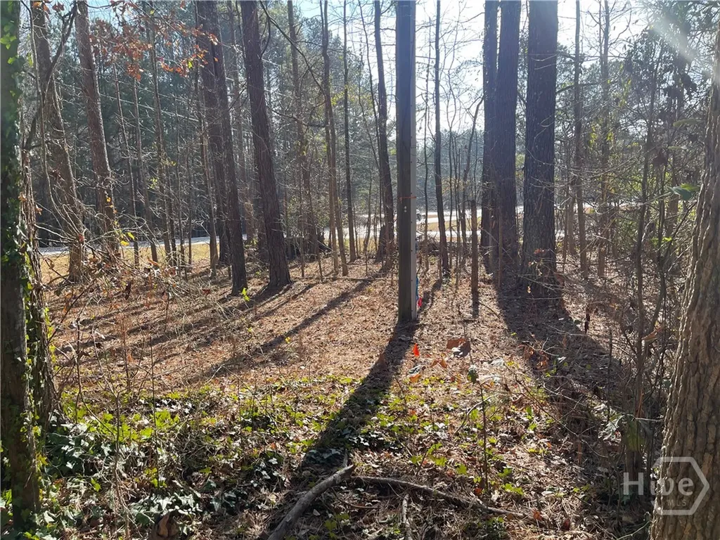 1811/1851 Mcnutt Creek Road Bogart GA 30622