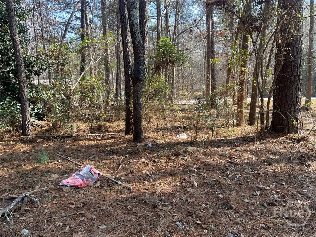1811/1851 Mcnutt Creek Road Bogart GA 30622