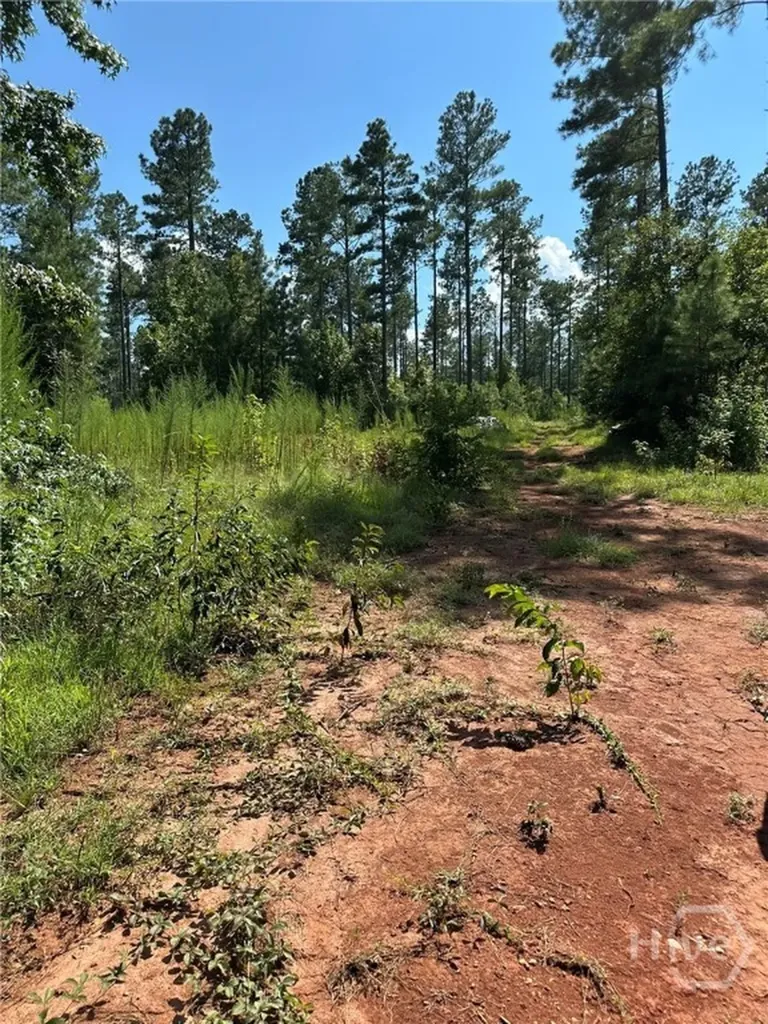 00 Fears Madison GA 30650
