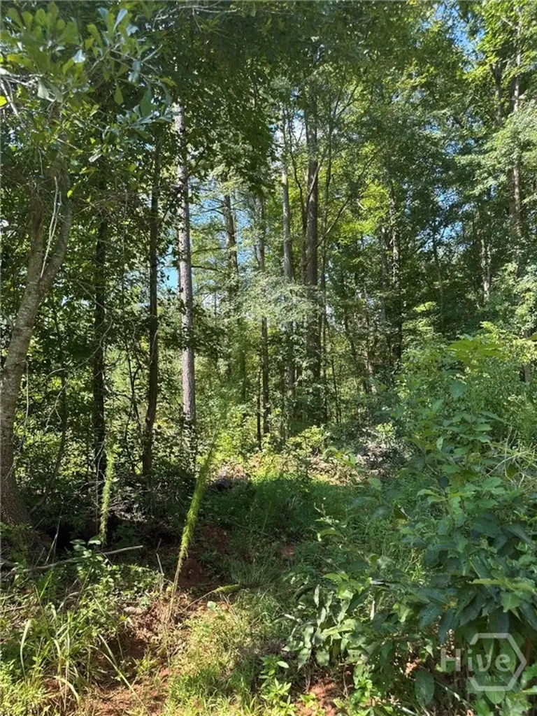 00 Fears Madison GA 30650