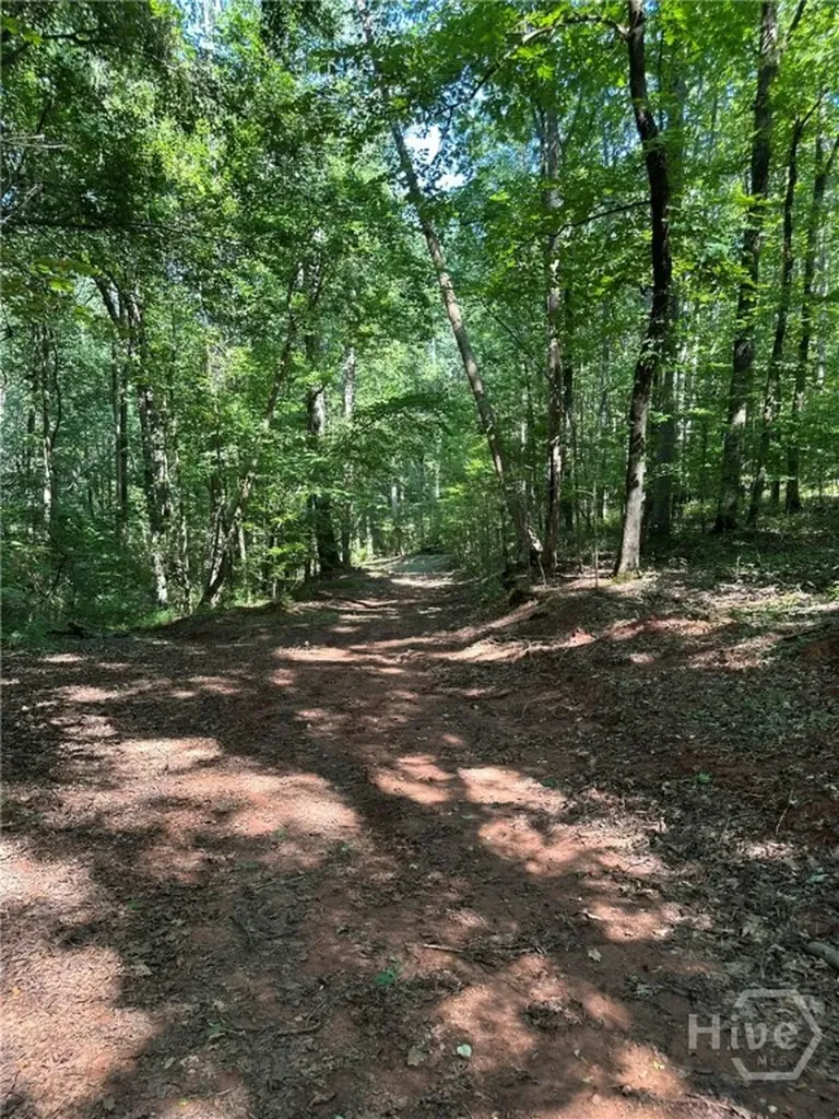 00 Fears Madison GA 30650