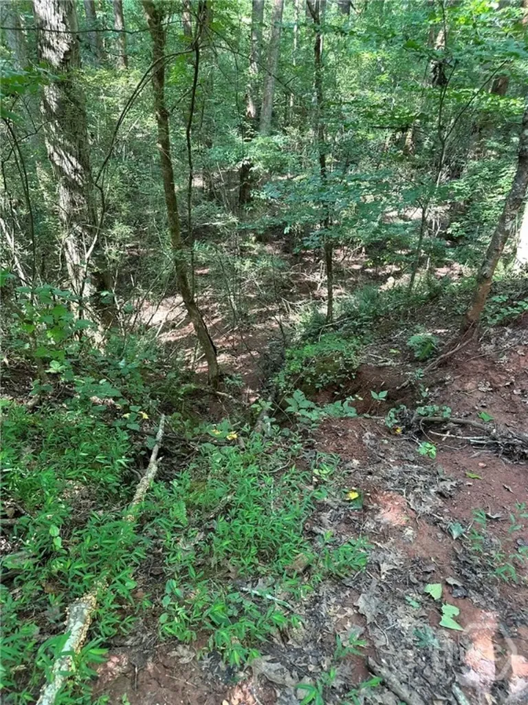 00 Fears Madison GA 30650