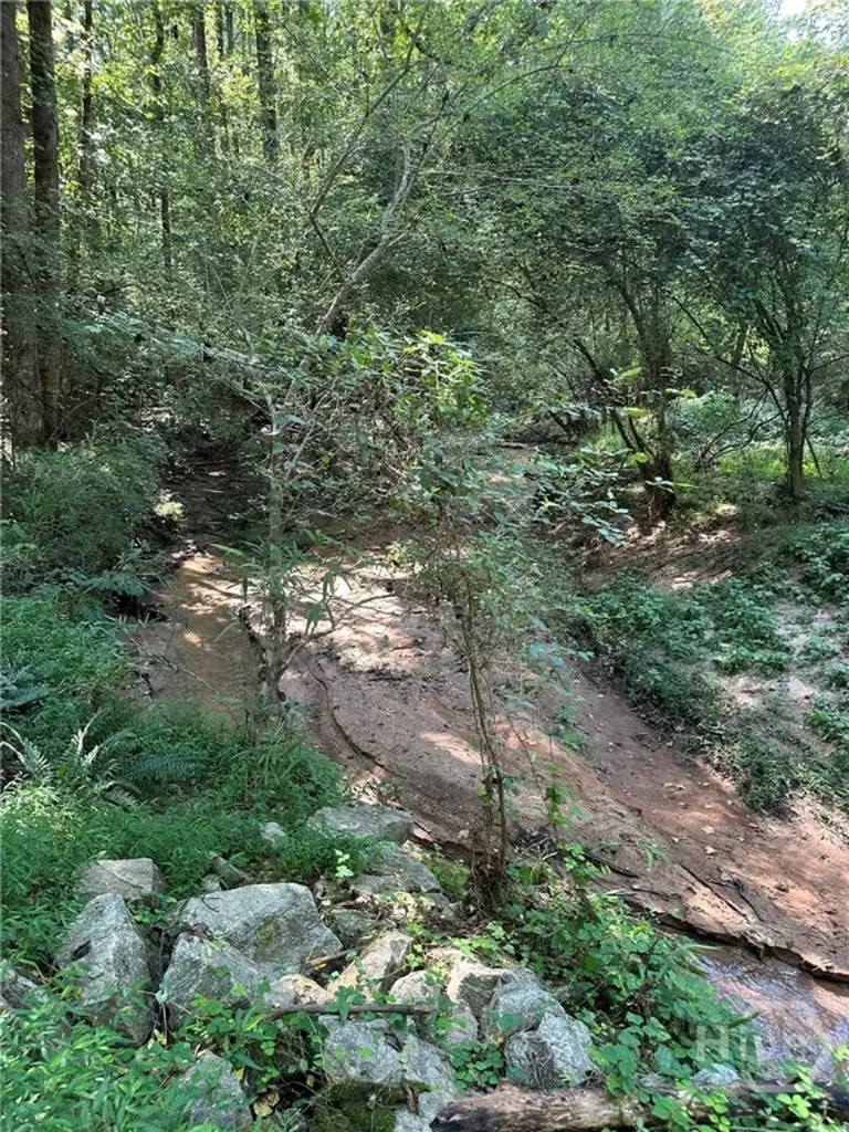 00 Fears Madison GA 30650