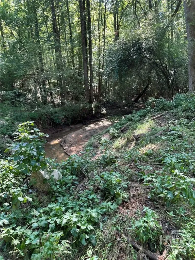 00 Fears Madison GA 30650
