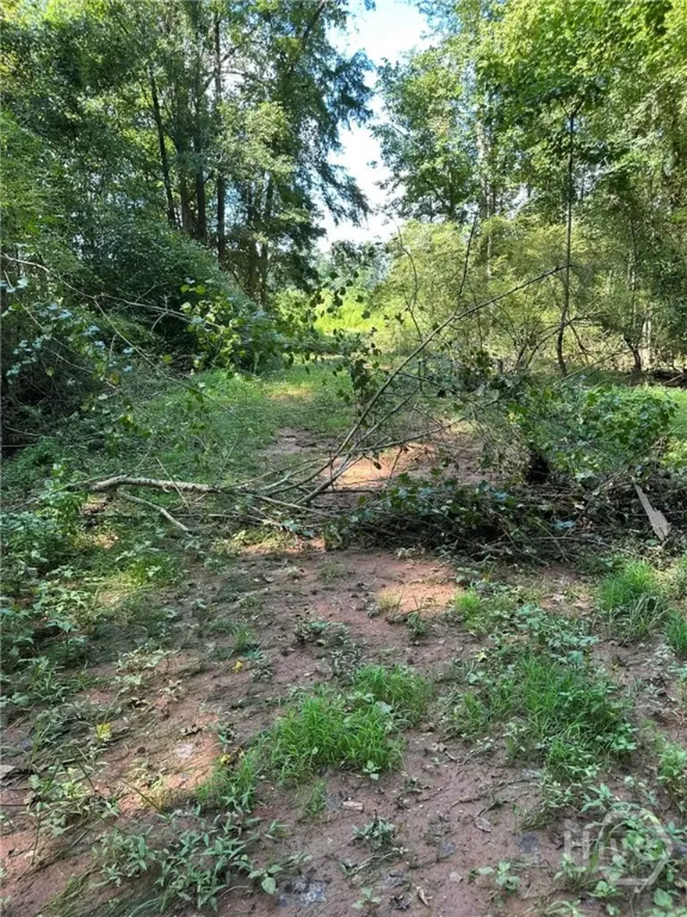 00 Fears Madison GA 30650