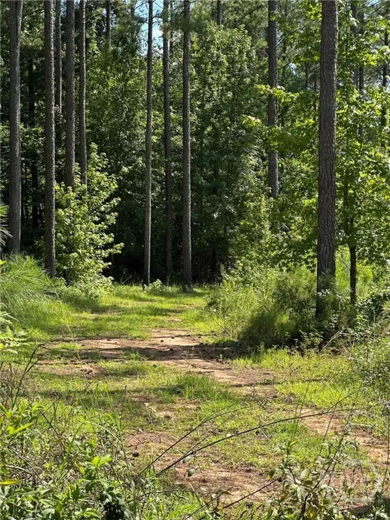 00 Fears Madison GA 30650