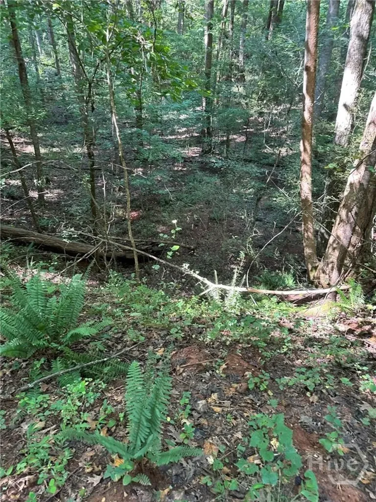 00 Fears Madison GA 30650
