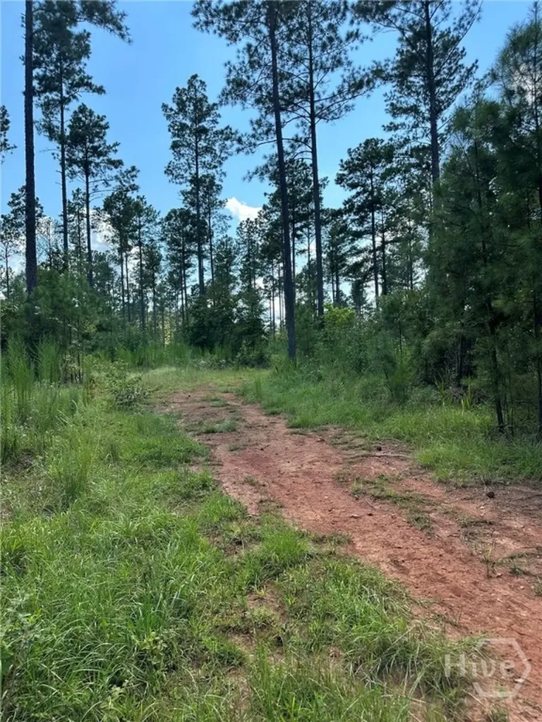 00 Fears Madison GA 30650