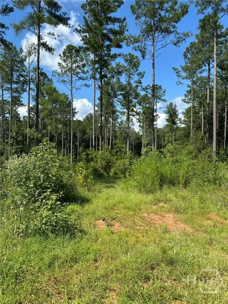 00 Fears Madison GA 30650